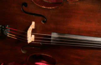 Cello